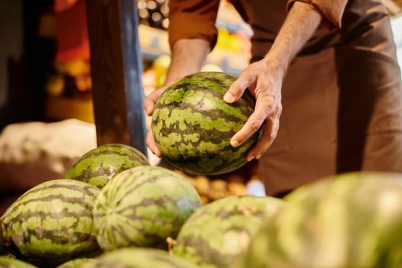 As regras de ouro ao comprar melancias: como os profissionais escolhem a fruta perfeita e doce