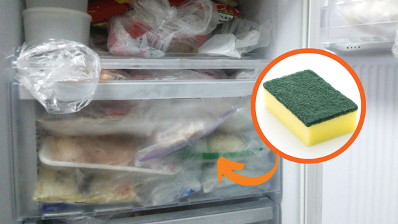 Coloquei uma esponja de cozinha no congelador e não conseguia parar de pensar que...