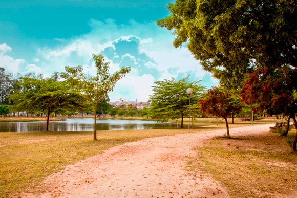 Interior de São Paulo tem festival de gastronomia com pratos especiais até esta terça-feira; confira!