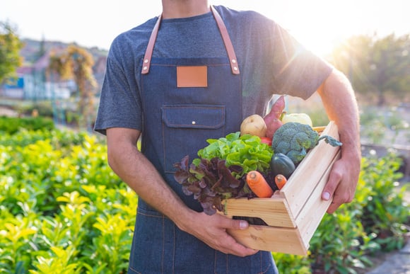 Tá muito caro! Quais são os alimentos orgânicos que realmente valem o investimento pelo bem da sua saúde?