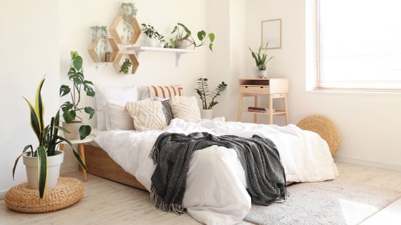 Seu quarto pode ficar mais agradável com estas 5 plantas: TudoGostoso explica como elas podem contribuir para o bem-estar