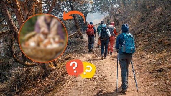 Chef convoca 80 amigos para apanhar tesouro perdido nos bosques da Alfândega da Fé