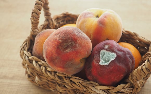Frutas apodrecendo rápido demais? O culpado costuma ser este vegetal comum que você guarda na geladeira