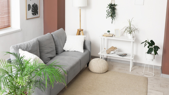 Cupom exclusivo de 6.6: itens da Shopee que vão melhorar o ambiente da sala de estar