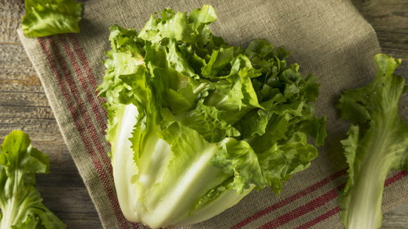 Verduras folhosas sofrem mais com a umidade na geladeira. (créditos: Shutterstock)