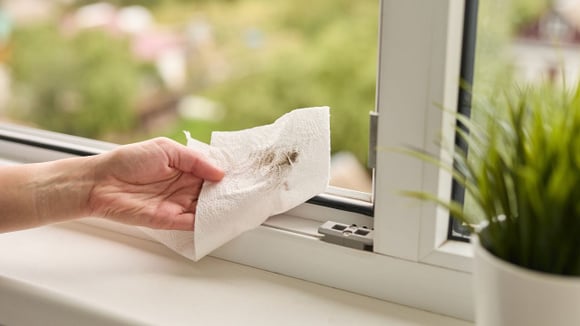 Os trilhos das janelas e portas costumam acumular muita sujeira ao longo do tempo (Créditos: Shutterstock)