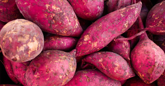 Não compre batata-doce antes de ler essas dicas de como escolher as de maior valor nutritivo