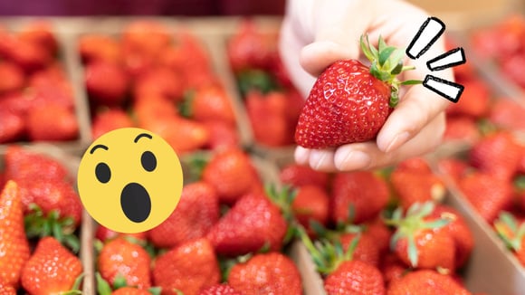 Com essa dica preciosa você vai remover o talo do morango em segundos, sem esforço e sem danificar a fruta. Perfeito, né?