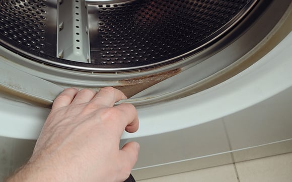 Como eliminar o mofo da borracha da máquina de lavar com um truque caseiro