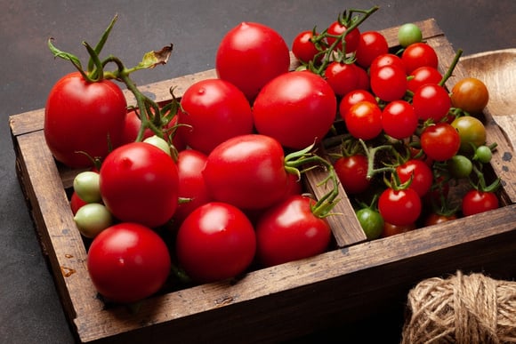 Nem na fruteira, nem na geladeira: o lugar ideal para conservar seus tomates sem estragá-los
