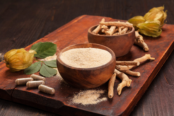 Ashwagandha: conheça a planta que combate os principais problemas de saúde da vida corrida, do estresse ao desejo sexual