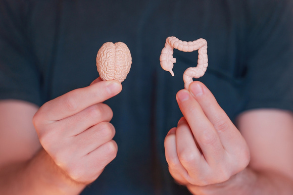 Probióticos e saúde mental: o intestino realmente é nosso “segundo cérebro”?