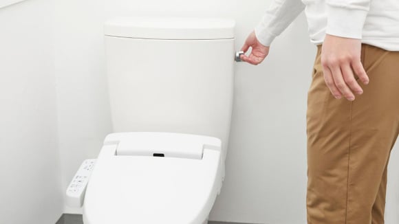 Tampa do vaso sanitário: por que os cientistas aconselham fechá-la ao dar a descarga