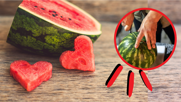 Inteira e cortada: a melancia ficará fresca por mais tempo com esses truques de armazenamento (aprenda também como escolher a fruta!)