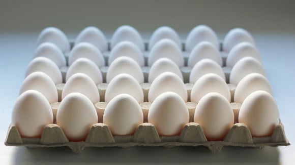 Ovos na geladeira ou na bancada da cozinha? TudoGostoso explica qual é a melhor maneira de armazenar o alimento