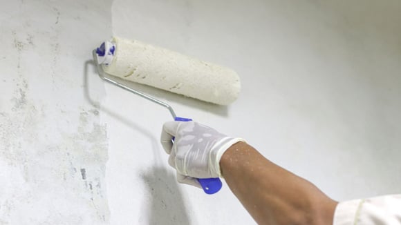 A pintura deve ser a última etapa do reparo de uma parede com sinais de umidade (Créditos: Shutterstock)