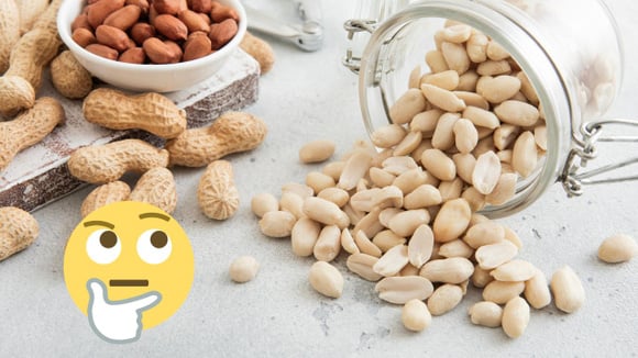 O amendoim no emagrecimento segundo a nutricionista da Fernanda Torres: "É importante que a gente saiba o que está fazendo”