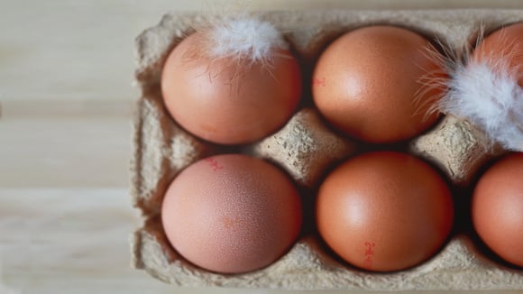 Cuidados simples no manuseio de alimentos evitam desperdícios e protegem a saúde. (Foto: Shutterstock)