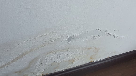 Depois de descobrir a fonte da umidade, é essencial fazer o reparo e preparar adequadamente a parede para receber a tinta (Créditos: Shutterstock)
