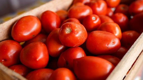 Faz mal comer tomate mole? Veja como saber se o alimento está estragado e quando não precisa jogar fora