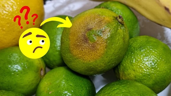 Comer limão quando está muito mole ou com a casca manchada é perigoso?