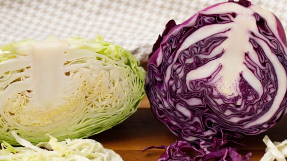 Qual a diferença entre repolho verde e repolho roxo? Descubra o que todo cozinheiro deve saber!