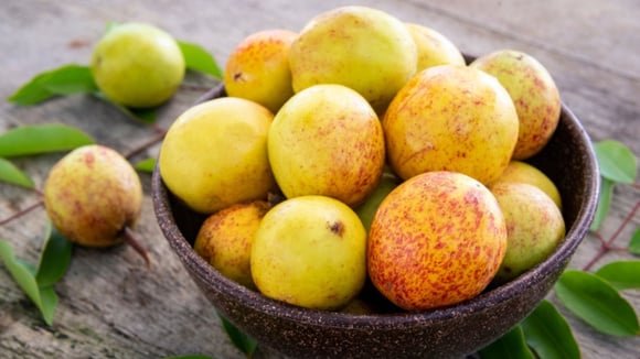 O que é mangaba? Conheça a fruta de polpa suculenta que faz muito bem para a saúde; descubra benefícios!