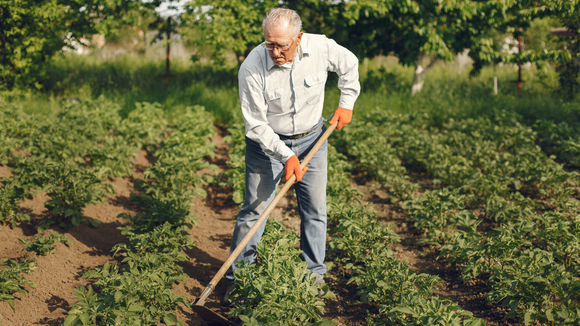 Aos 100 anos, ele ainda cultiva os próprios alimentos e guarda hábitos simples que podem explicar sua longevidade: conheça a história de Carabín