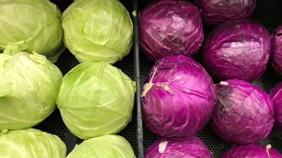 Repolho verde e roxo lado a lado (Créditos: Canva)