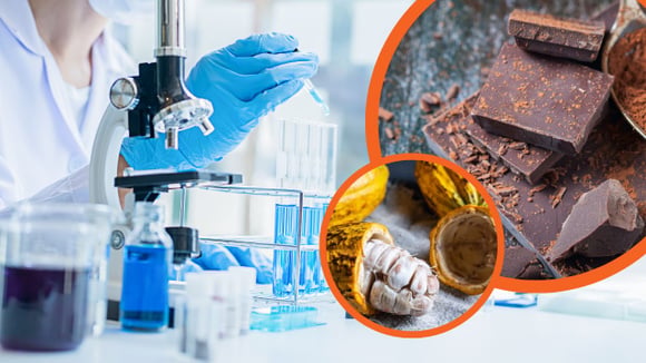 O que os cientistas estão tramando para evitar o fim do chocolate?