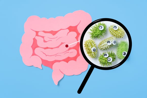 O que é essa tal de microbiota intestinal que estão falando nas redes sociais e como ela afeta a nossa saúde?