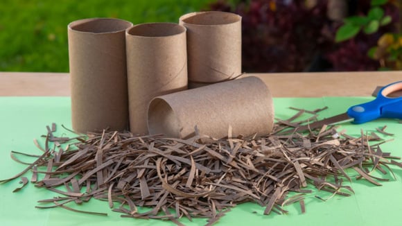 Quem tem composteira em casa pode picar os rolinhos de papel e usá-los como materiais secos na mistura (Créditos: Shutterstock)