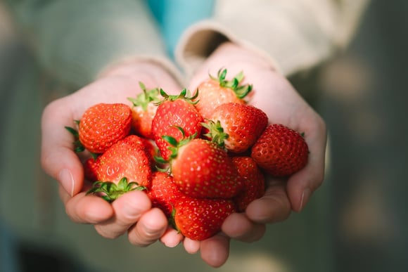 Como fazer uma torta de morango: a receita deliciosa e refrescante para dar as boas-vindas à primavera