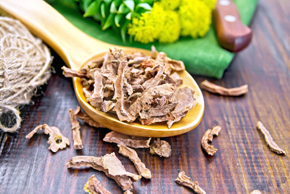 Raiz de ouro: descubra os benefícios da rhodiola rosea, poderosa planta que melhora até o funcionamento do cérebro
