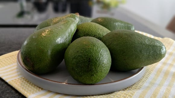 O truque acelera o amadurecimento do abacate, mas não tem um efeito instantâneo (Créditos: Shutterstock)