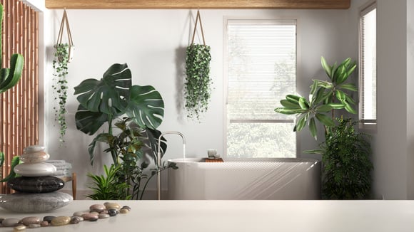 13 plantas que adoram umidade e são perfeitas para decorar o seu banheiro