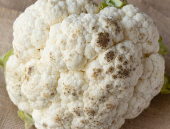 Couve-flor com pontinhos pretos: é seguro comer o vegetal mesmo assim?