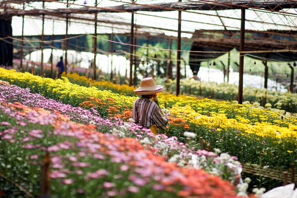 8 cidades floridas no Brasil para conhecer na primavera: é uma mais bonita do que a outra!