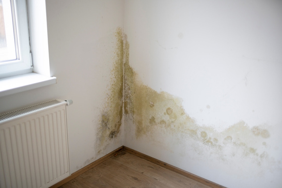 Adeus manchas nas paredes e tetos: solução potente com um ingrediente simples absorve a umidade de casa no outono