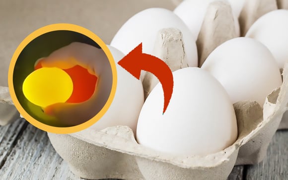 Com quantos anos você descobriu que você só precisa do seu celular para saber se o ovo está podre?
