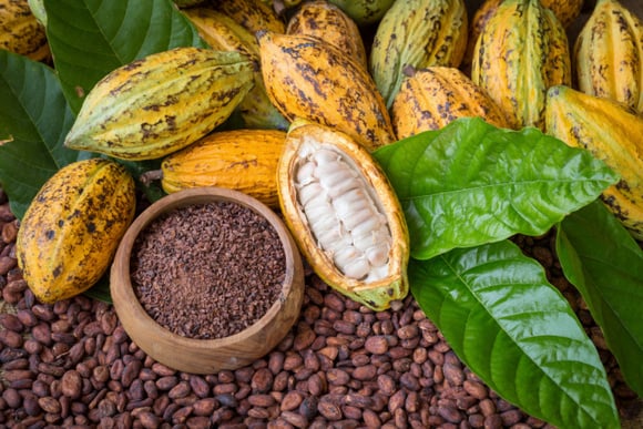 Cacau além do chocolate! Ingrediente será muito usado em geleias e compotas em 2024, apontam 50 especialistas