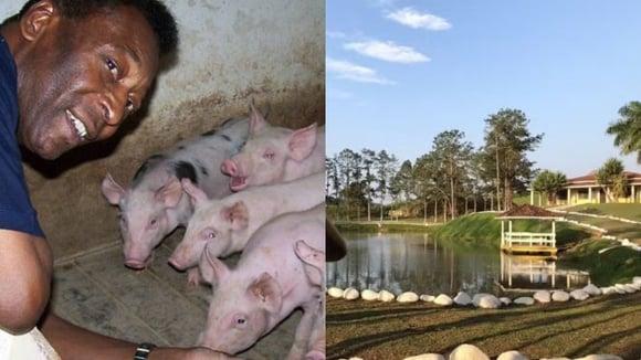 Longe dos holofotes, Pelé tinha uma fazenda de 700 hectares, cercada pela Mata Atlântica, onde criava peixes, porcos e gado, um verdadeiro refúgio que foi deixado para sua família