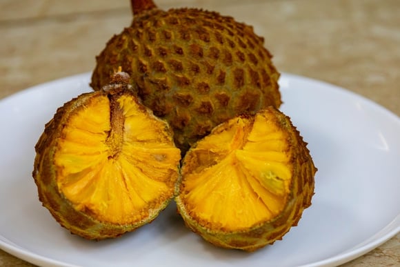 Não é a jaca, nem a graviola: fruta do Cerrado rica em vitamina C impressiona pela riqueza em antioxidantes e já virou até Patrimônio Cultural