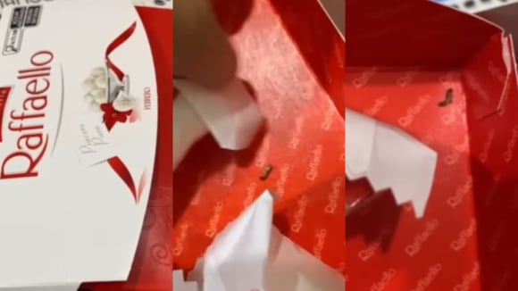 Homem expõe larvas em caixa de bombom famoso e gera revolta. Saiba o que fazer se acontecer com você!