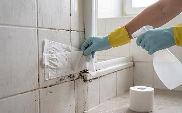 Sem esfregar: o método do papel higiênico para remover mofo do banheiro