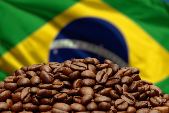 Respeita nosso café! Grãos brasileiros fazem sucesso na Europa pela qualidade e sustentabilidade