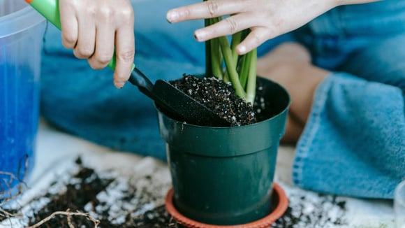 O vaso de planta feito de plástico ficou para trás: essa tendência é mais eficiente, melhora a drenagem e favorece o crescimento