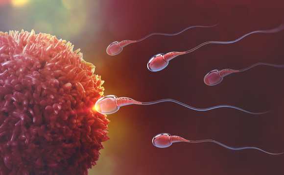 Estudo mostrou que consumo da maca peruana pode ajudar na fertilidade masculina e na agilidade dos espermatozoides. (Crédito: Shutterstock)