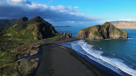 As condições extremas das Ilhas Auckland fizeram com que os animais precisassem encontrar sozinhos alimento e abrigo para sobreviver. (créditos: Shutterstock)