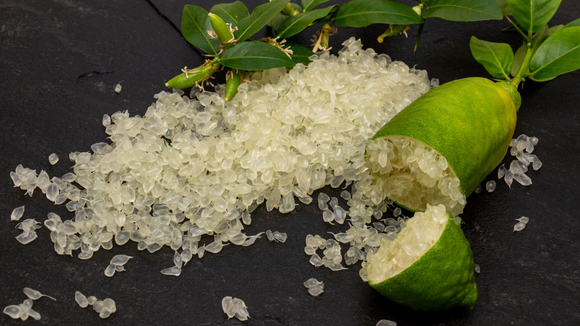 A aparência realmente lembra um caviar. (Créditos: Shutterstock)